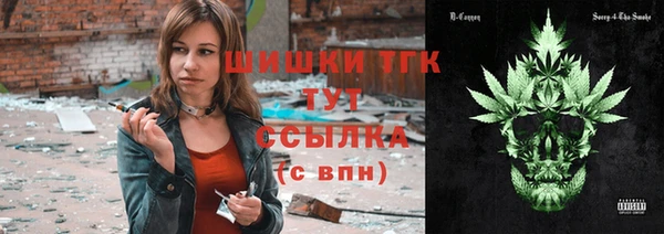 дмт Арсеньев