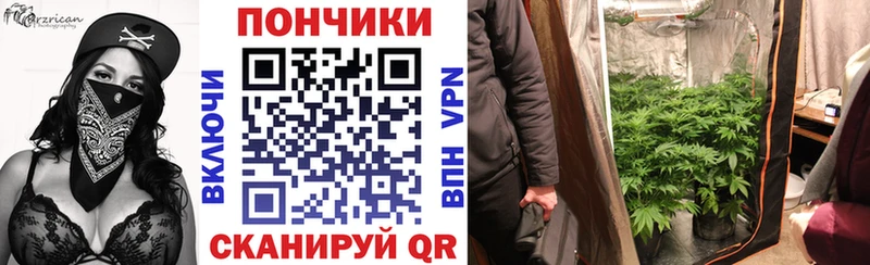 наркотики  Светлоград  ссылка на мегу маркетплейс  Бошки Шишки план 